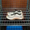 Sneakers Mirage in rete bianca Sneakers Mirage in rete bianca